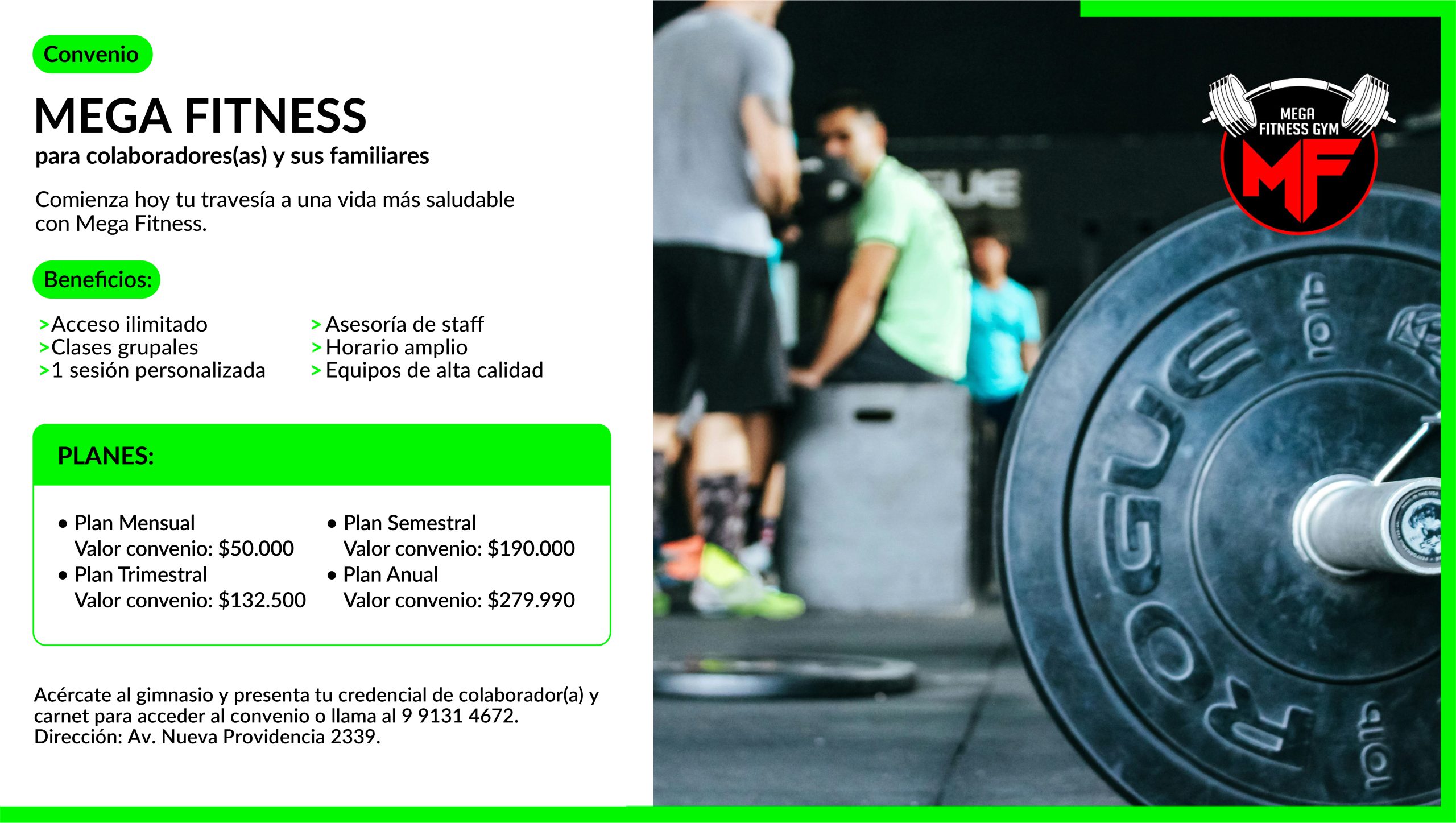 CARRUSEL-mega-fitness (1)